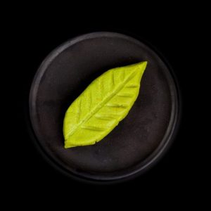Wasabi sushi