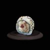 Nivatori sushi